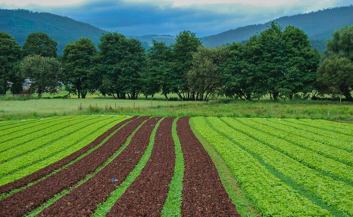Jak znaleźć odpowiedni nocleg w górach na wczasy lub ewentualnie weekend?
